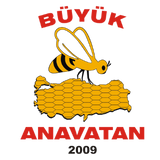 ANAVATAN Logosu